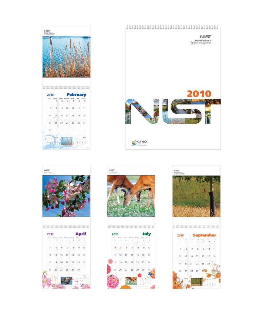 portfolio80